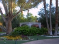 alexis_park_all_suite_las_vegas_garden