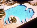 buffalo_bills_pool