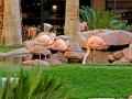 flamingo_las_vegas_wildlife_habitat